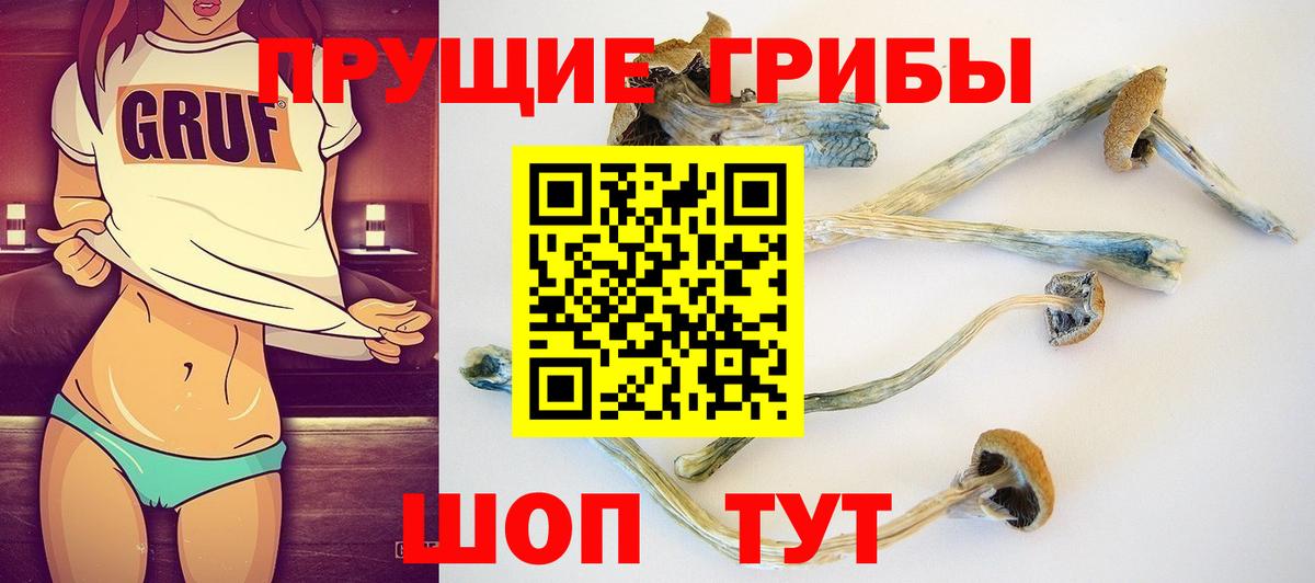Ульяновск  Галлюциногенные грибы Psilocybe  Вход с VPN 